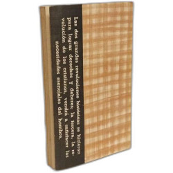 Teoria sobre la revolucion