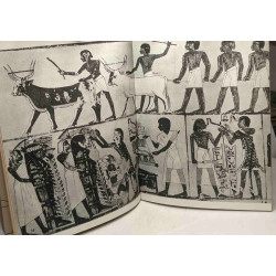 L'Egypte vie et mort d'une civilisation - préface de Georges Posener