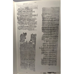 Merton Papyri VOLUME III / institute of classical studies -...