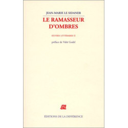 Oeuvre littéraire volume 2 : "Le Ramasseur d'ombres"
