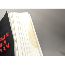 Mosaïque culturelle des ethnies du Vietnam