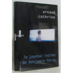 Le journal intime de Benjamin Lorca