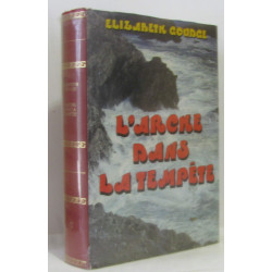 Arche dans la tempête