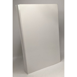 Lorelei ou l'enchanteur enchanté: Chateaubriand et le monde germanique