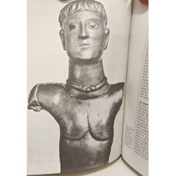 Histoire de la France - 20 volumes des origines de la vie à 1970