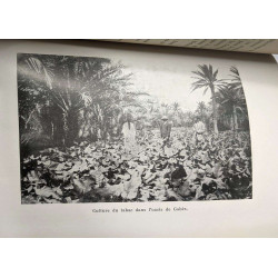 Oeuvre financière du protectorat français en Tunisie - régime...