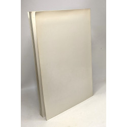 Le palais des papes d'Avignon