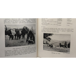 Monographie pastorale du Ruanda-Urundi - Royaume de Belgique