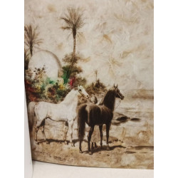 Daniel gastaud original feathers installations - Oriental Dreams