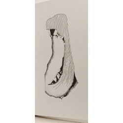 Les Mopettes tome 1 - À la poursuite du scooter jaune