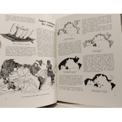 Trimarans et autres multicoques - histoire et développements