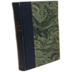 Le chateau des brouillards