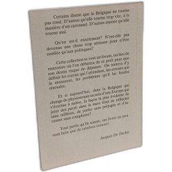 La Belgique quand même - le pavé dans la mare