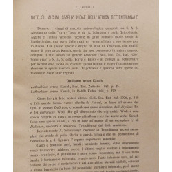 Suti sul genere quedius steph + Osservazioni su alcune specie di...