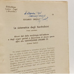 Suti sul genere quedius steph + Osservazioni su alcune specie di...