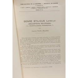 Genre stilicus latreille / Parc national de la Garamba fascicule 39