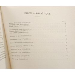 Genre stilicus latreille / Parc national de la Garamba fascicule 39