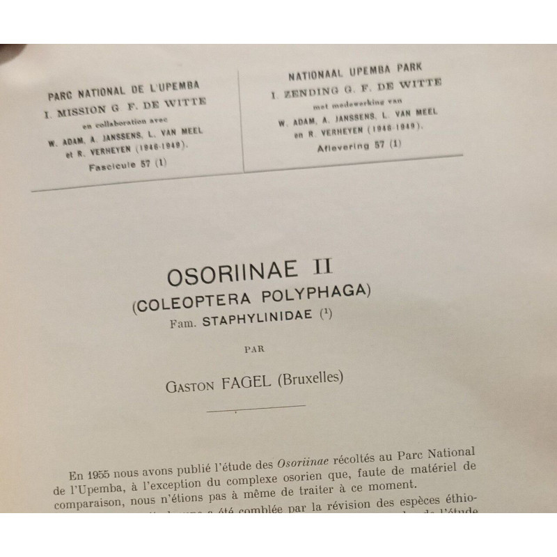 Osoriinae II (coleoptoera polyphaga)